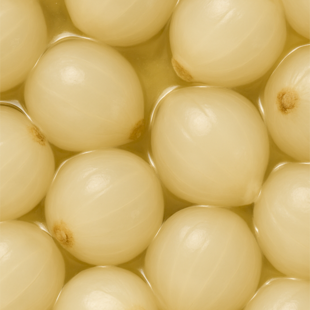 p-PRFRBORNI0190-4.png