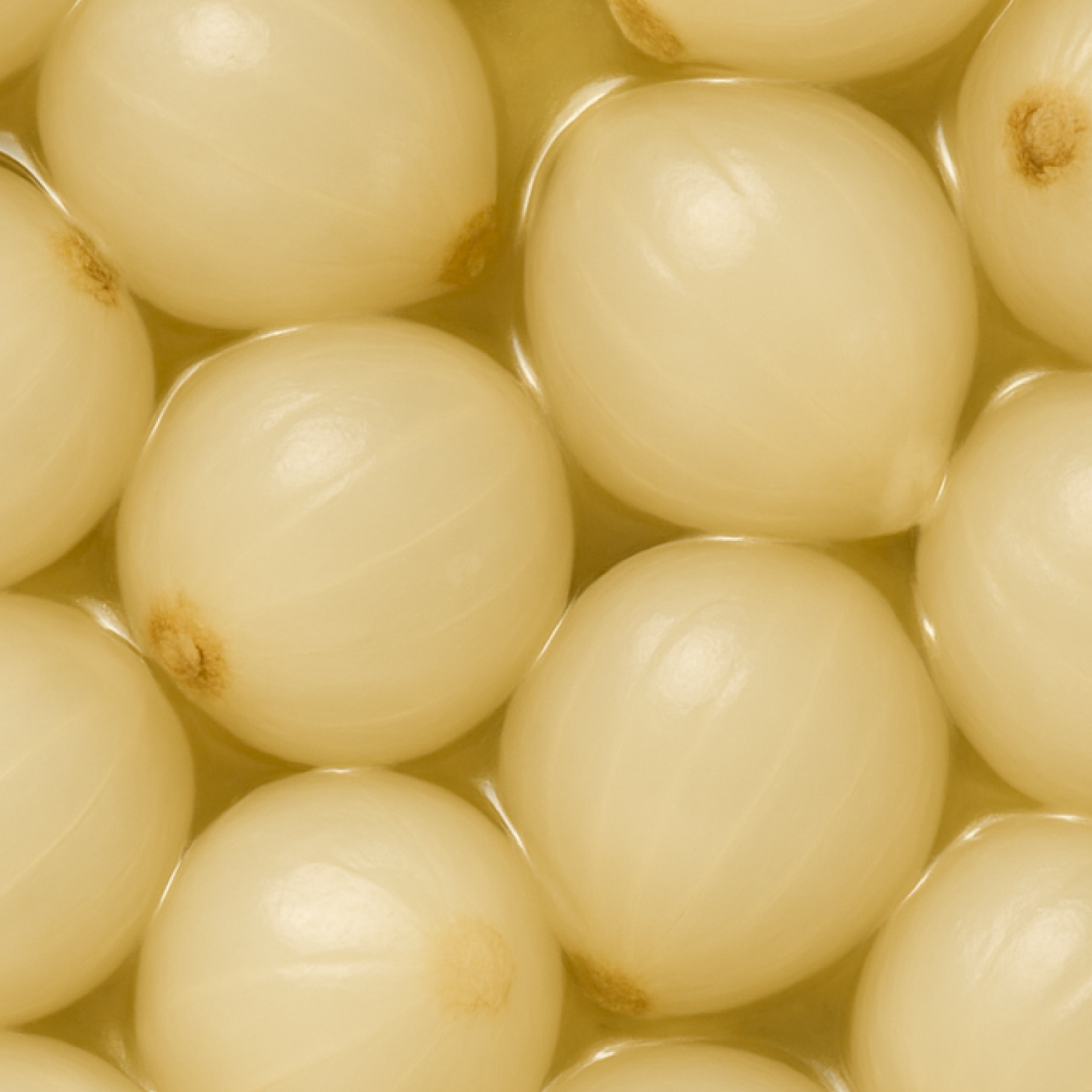p-PRFRBORNI0190-4.png
