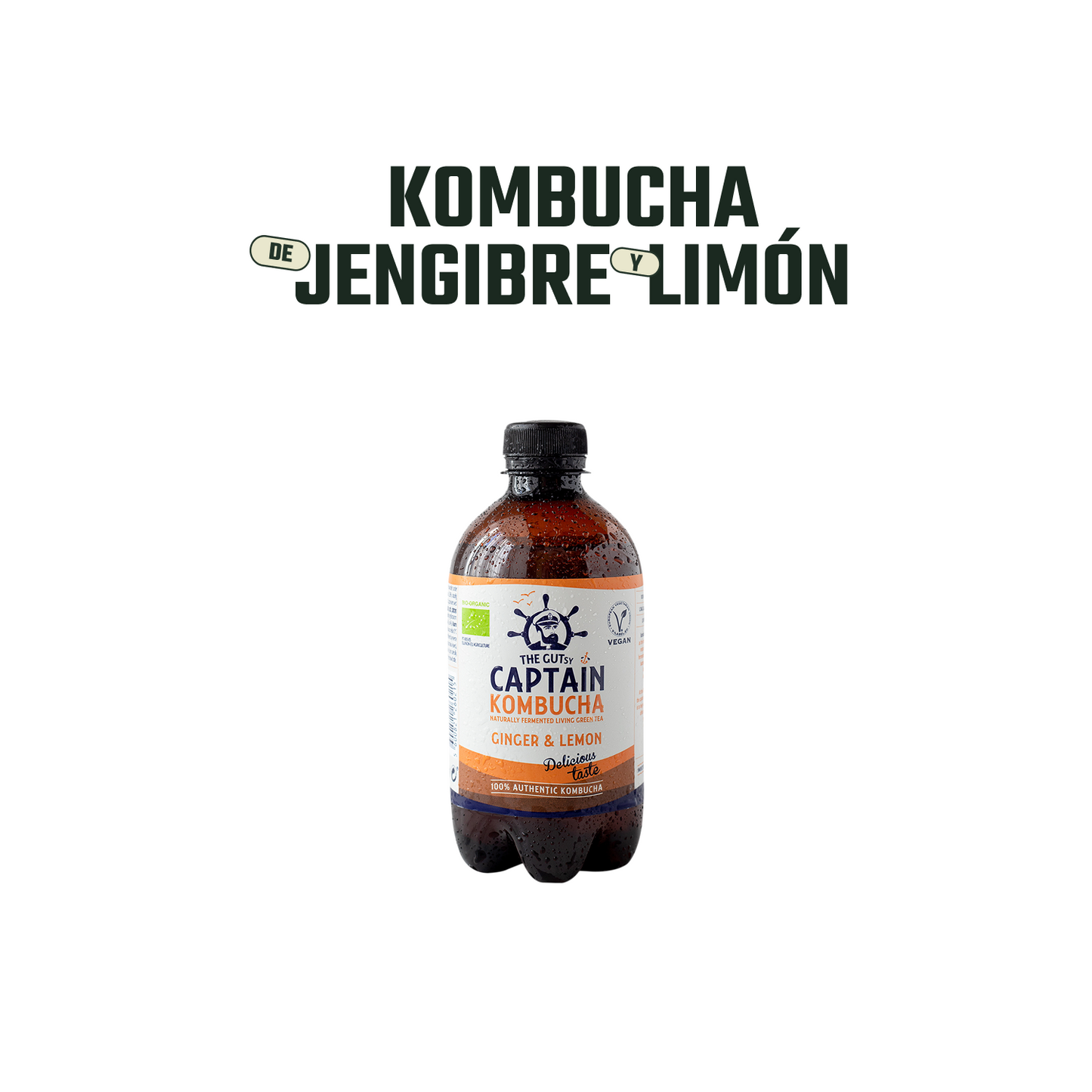 p-PRPTCAPTA0015-3.png