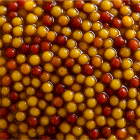 p-PRFRBORNI0005-4.png