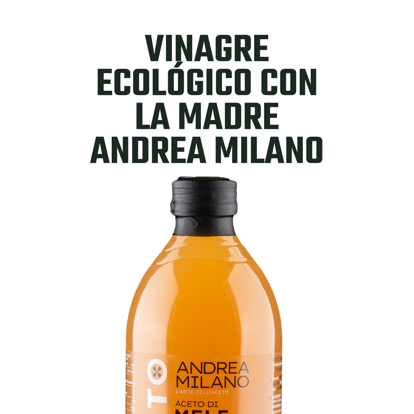 p-PRITMILAN0095-3.png
