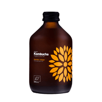 Kombucha Orgánica Acerola y Jengibre Vigo 1 x 330 ml - Kombucha - Vigo - 5902768514308 - ExtraVirgen.Store