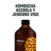 Kombucha Orgánica Acerola y Jengibre Vigo 1 x 330 ml - Kombucha - Vigo - 5902768514308 - ExtraVirgen.Store