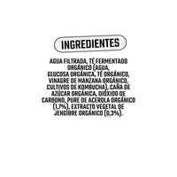 Kombucha Orgánica Acerola y Jengibre Vigo 1 x 330 ml - Kombucha - Vigo - 5902768514308 - ExtraVirgen.Store