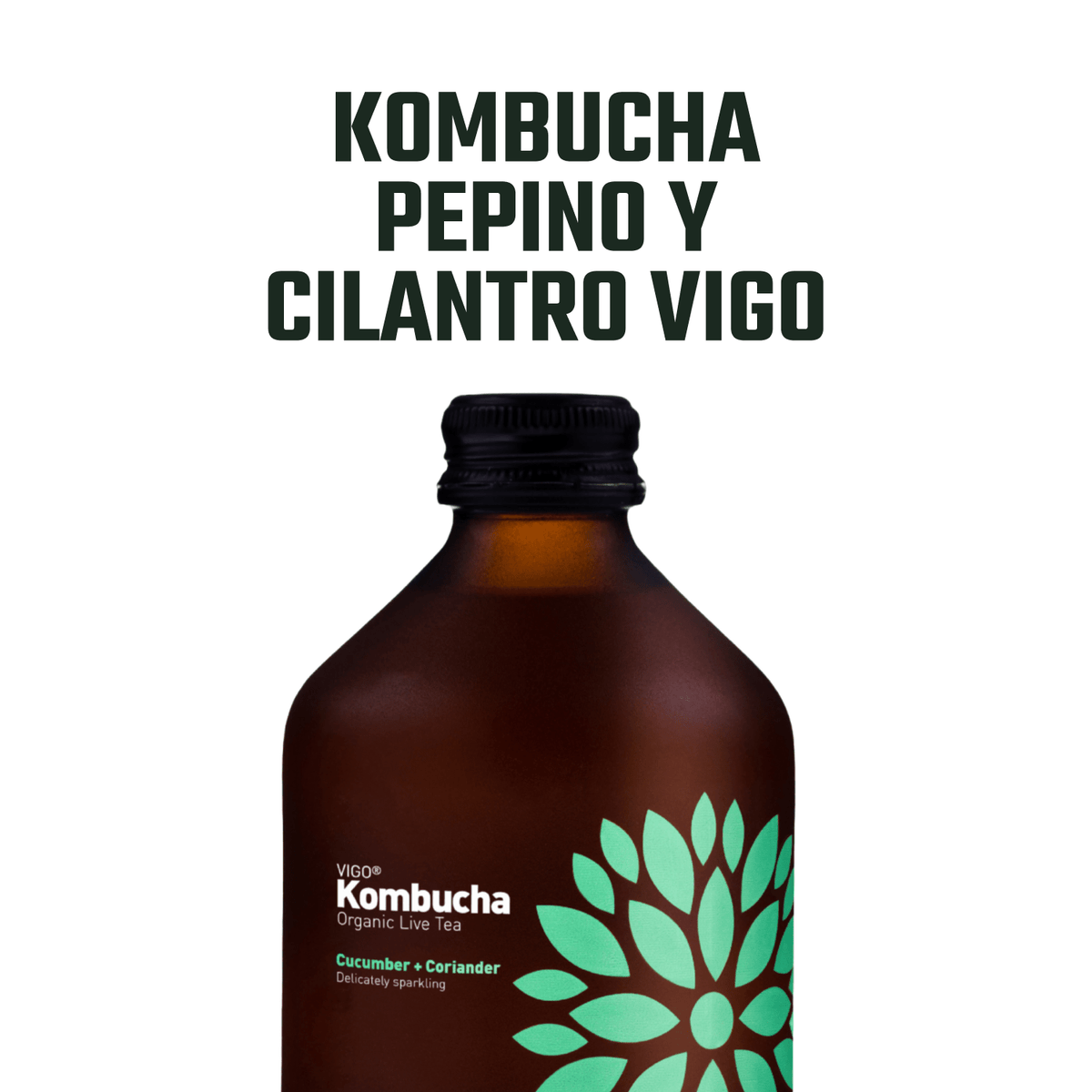 Kombucha Orgánica Pepino y Cilantro Vigo 1 x 330 ml - Kombucha - Vigo - 5902768514322 - ExtraVirgen.Store