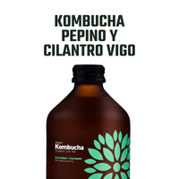 Kombucha Orgánica Pepino y Cilantro Vigo 1 x 330 ml - Kombucha - Vigo - 5902768514322 - ExtraVirgen.Store