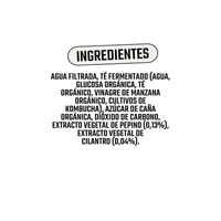 Kombucha Orgánica Pepino y Cilantro Vigo 1 x 330 ml - Kombucha - Vigo - 5902768514322 - ExtraVirgen.Store