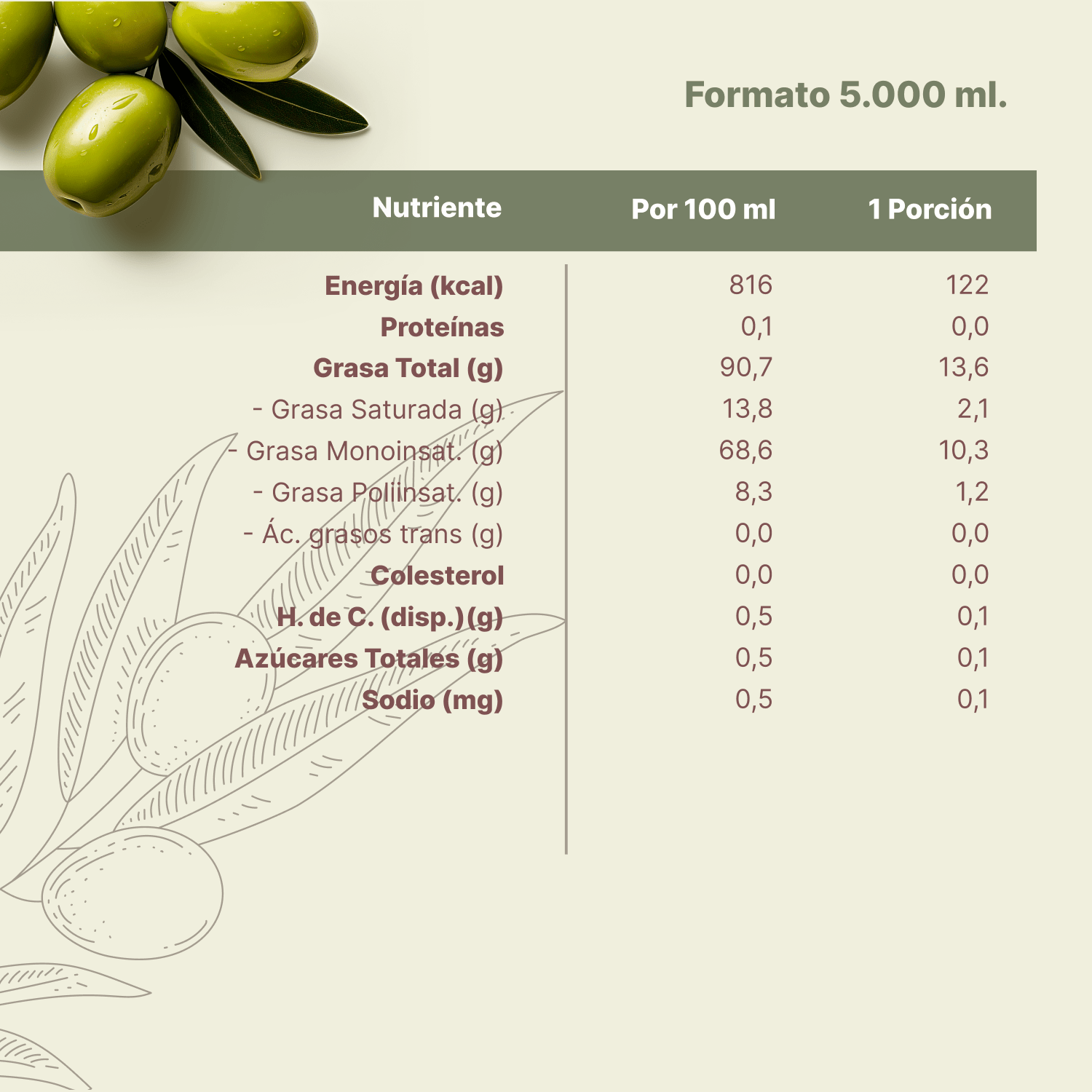 Aceite de Oliva Extra Virgen Huasco 2 x 5000 ml - Blend - Huasco - 27808760900533 - ExtraVirgen.Store