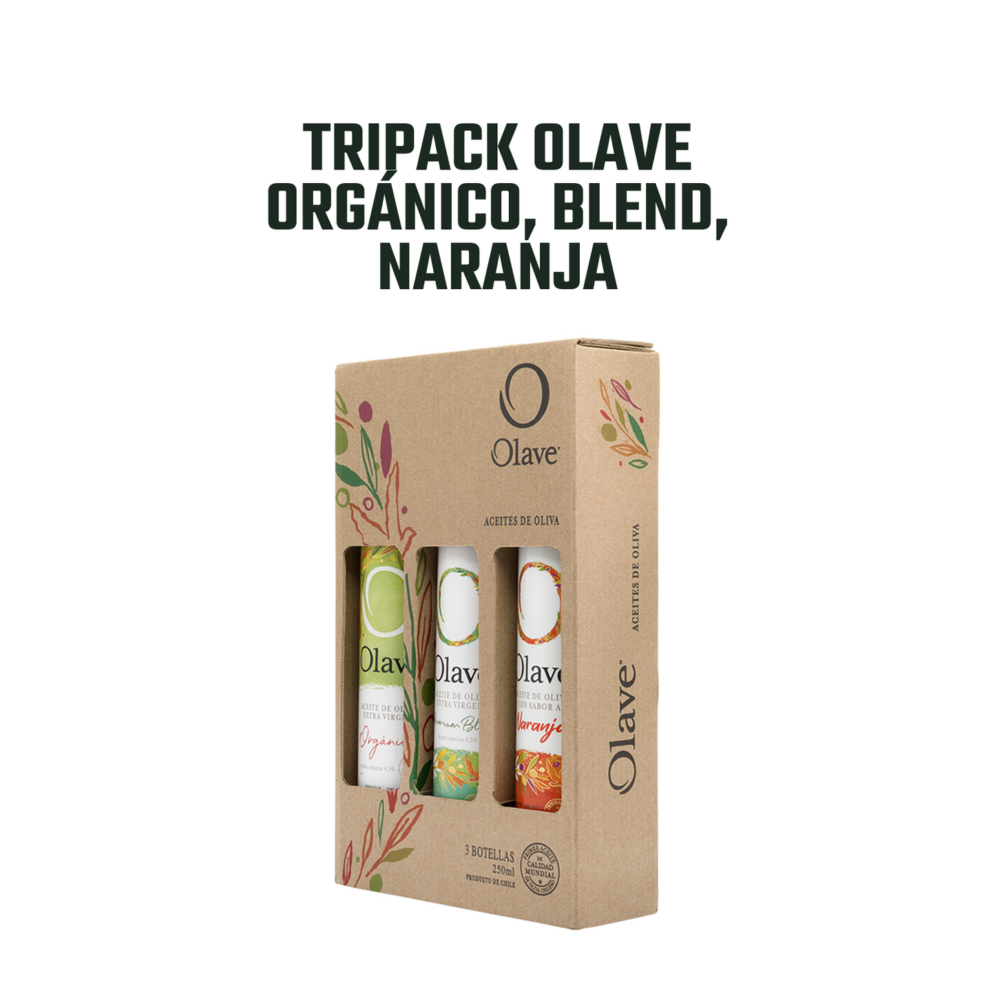 p-PTAOOLAVE2243-3.png