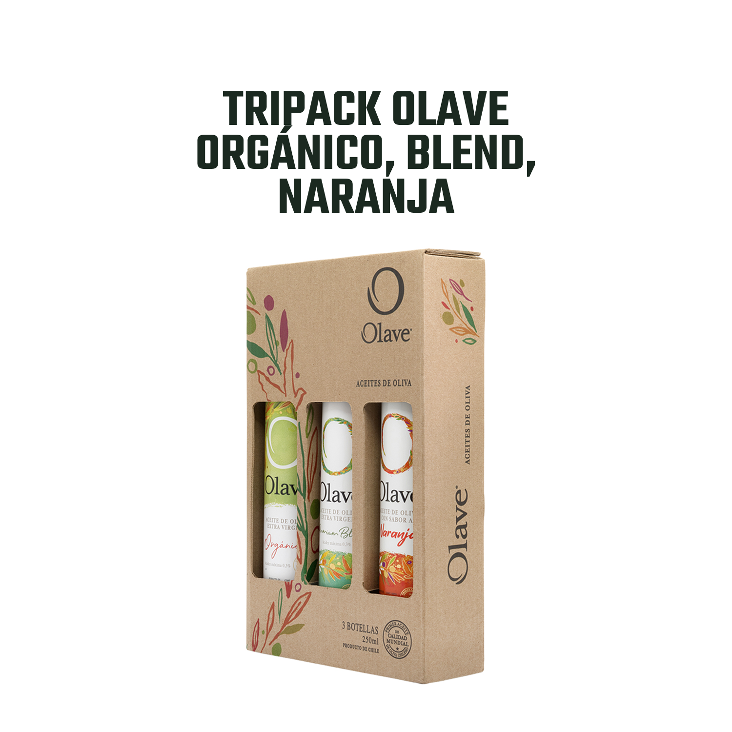 p-PTAOOLAVE2243-3.png